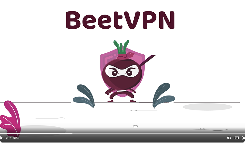 BeetVPN illustrated campaign
