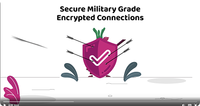 Beet Ninja protected by an encryption shield